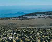 Ein Blick vom Hinterwiesenberg aus Pec pod Snkou * Riesengebirge (Krkonose)