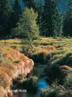 In the glacial cirque of the Elbe pindlerv Mln * Krkonose Mountains (Giant Mts)