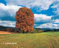 Der Ruiky-Pass Rokytnice nad Jizerou * Riesengebirge (Krkonose)