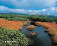 Die Pantschewiese pindlerv Mln * Riesengebirge (Krkonose)