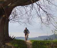 Path below the mountains Horn� Brann� * Krkonose Mountains (Giant Mts)