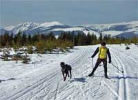 Pln pindlerv Mln * Krkonose Mountains (Giant Mts)