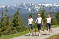 Nordic-walking na alm Benecko * Krkonose Mountains (Giant Mts)
