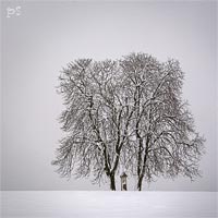 Bo muka v Podkrkono  * Riesengebirge (Krkonose)