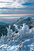 ber der Kesselgrube  * Riesengebirge (Krkonose)