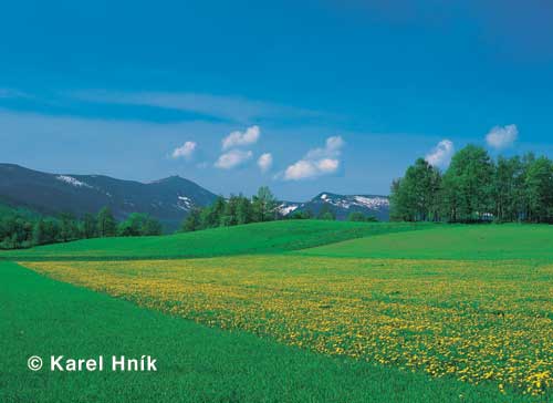 Blick zum Riesengebirge von Krummhbel (Karpacz) * Riesengebirge (Krkonose)