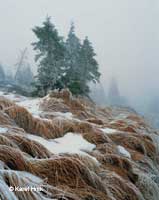 Die Schnheit des Raureifs  * Riesengebirge (Krkonose)