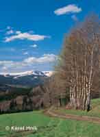 Blick zur Kesselkoppe Benecko * Riesengebirge (Krkonose)