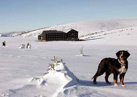 pict: Lucni bouda - Pec pod Snkou