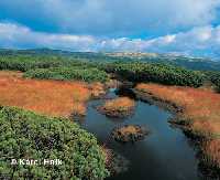 Panavsk louka (Pantschewiese) pindlerv Mln * Riesengebirge (Krkonose)