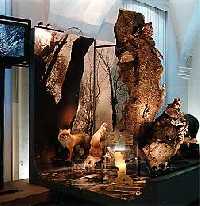 Bild vergrssern: Riesengebirgsmuseum * Riesengebirge (Krkonose)
