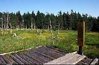 4. Mrtv les Jansk Lzn * Riesengebirge (Krkonose)