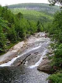 Bild vergrssern: Bl Labe (Weisse Elbe) * Riesengebirge (Krkonose)