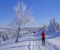 Cross-country skiing in Krkonose Mountains * Krkonose Mountains (Giant Mts)