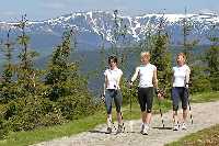 enlarge picture: Nordic-Walking in  Krkonose Mountains * Krkonose Mountains (Giant Mts)