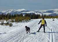 Bild vergrssern: Aktiv erleben * Riesengebirge (Krkonose)