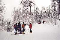 Strn  (okrun trasa  Pedn Planina ) * Krkonoe