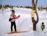 Harrachov (okrun trasa Mrtv vrch) * Riesengebirge (Krkonose)