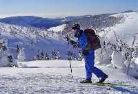 Harrachov Langlauf Magistral * Riesengebirge (Krkonose)