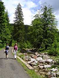 Das Weberweg * Riesengebirge (Krkonose)