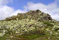 Bild vergrssern: Der Weg zur Elbquelle * Riesengebirge (Krkonose)