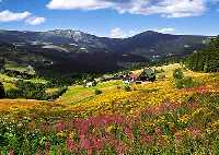 Lehrpfad Vlci jama ( Wolfenloch) * Riesengebirge (Krkonose)