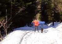 Benecko - Horn Mseky (Trasa .1) * Riesengebirge (Krkonose)