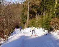 Benecko - Horn Mseky (Trasa .2) * Riesengebirge (Krkonose)